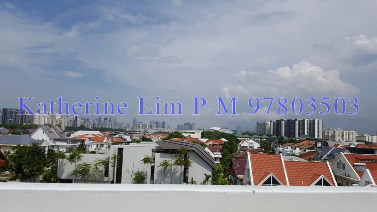 Chelsea Lodge (D15), Apartment #145094742